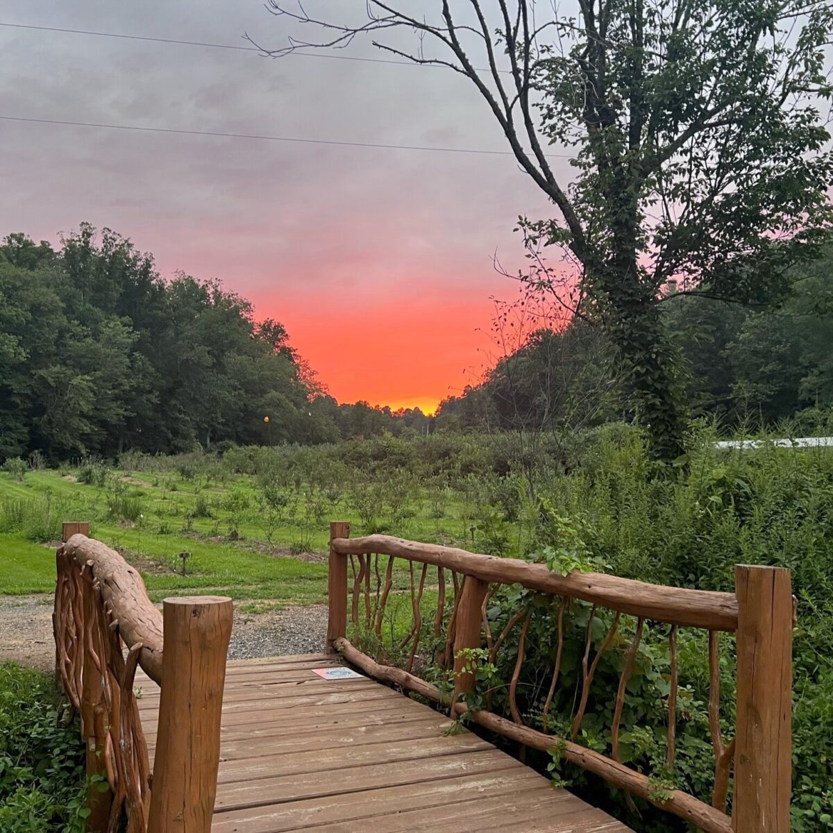 Wooden footbridge in the foreground leading to a grassy area and trees under a colorful sunset sky.