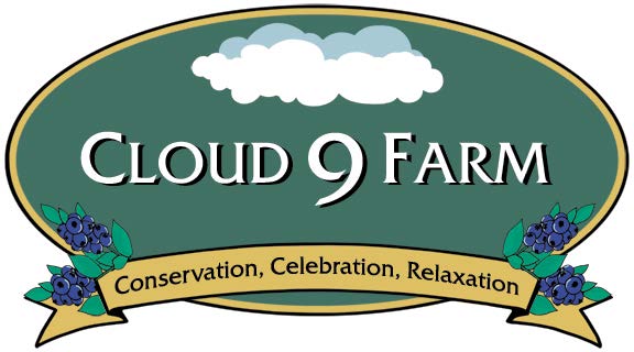 Cloud 9 Relaxation Logo