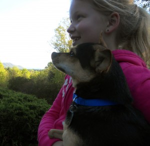 A young girl wearing a pink jacket holds a small dog with a blue collar, both looking off to the left with greenery and trees in the background.