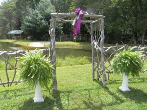 A wooden arbor decorated with purple ribbons stands in front of a pond, flanked by two large green ferns in white planters. Trees and a wooden structure are visible in the background.