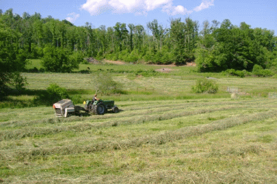 A farmer operates a tractor with a hay baler attachment in a grassy field surrounded by trees on a sunny day.