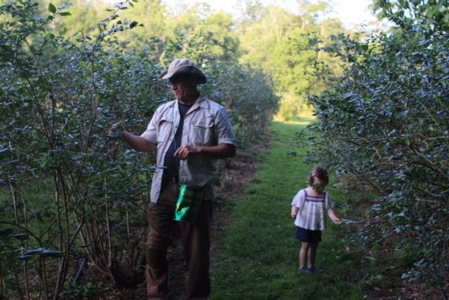 A man and a child walk through a lush garden or orchard, examining the plants. The man holds a green bag while the child looks at the ground. Trees and greenery surround them.
