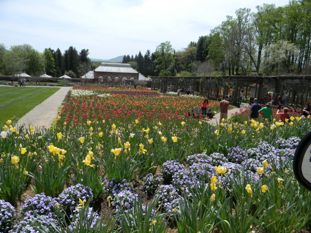 A garden with blooming flowers, including yellow and purple flowers in the foreground, red and yellow flowers in the middle ground, and a greenhouse in the background. Trees and people are around.