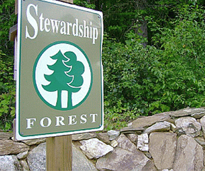 Stewardship Forest Conservation Easement