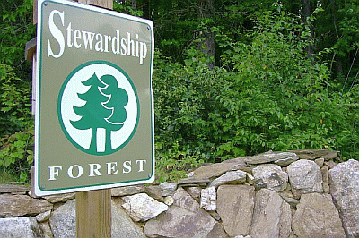 A sign reads "Stewardship Forest" in front of a stone wall and dense greenery.